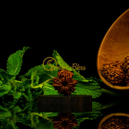 Front view of a large Nepal Savar Rudraksha bead, displayed against a black background