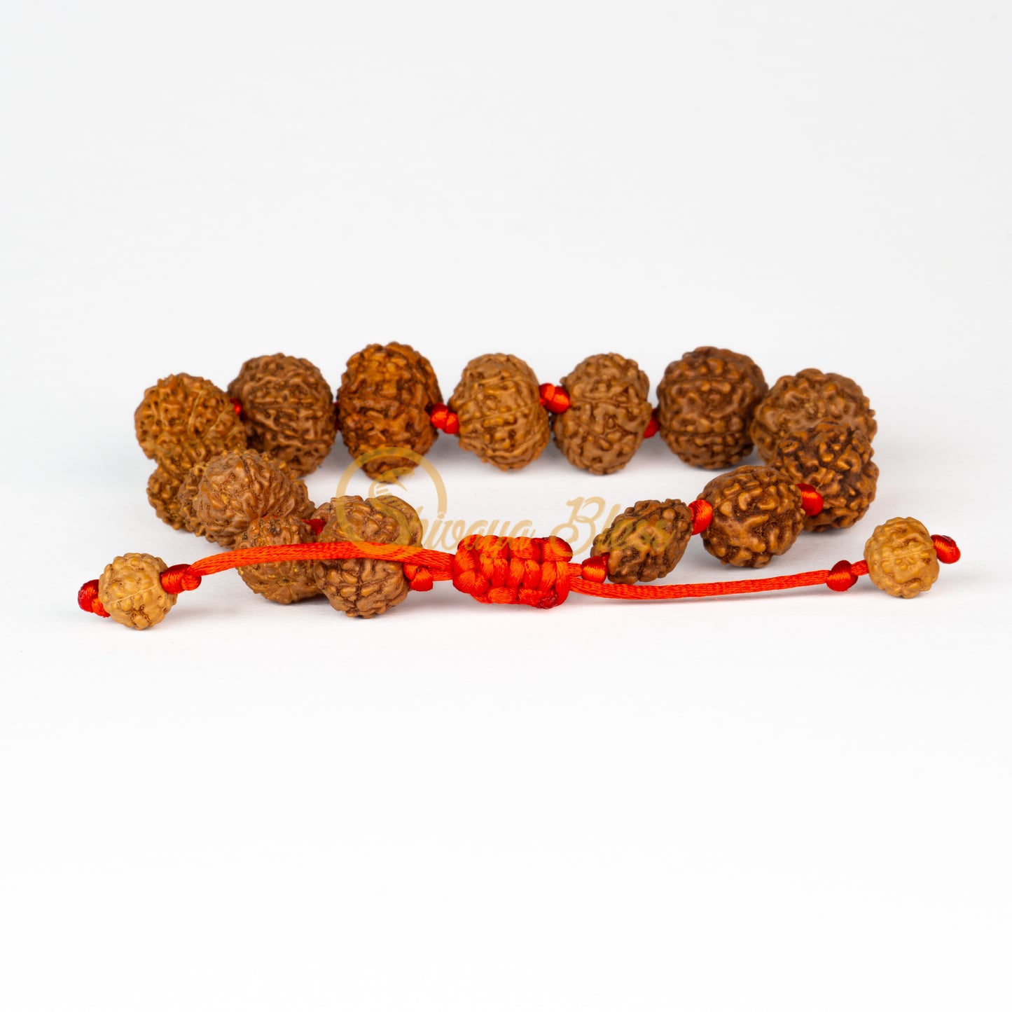 Front view of a regular adjustable ASEAN Siddha Rudraksha combination bracelet, displayed against a white background