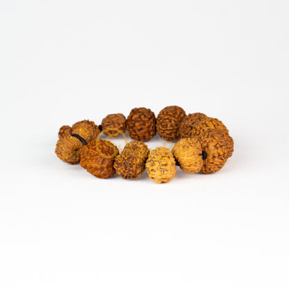 Front view of a regular elastic ASEAN Siddha Rudraksha combination bracelet, displayed against a white background