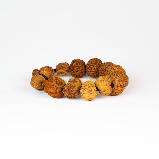 Front view of a regular elastic ASEAN Siddha Rudraksha combination bracelet, displayed against a white background