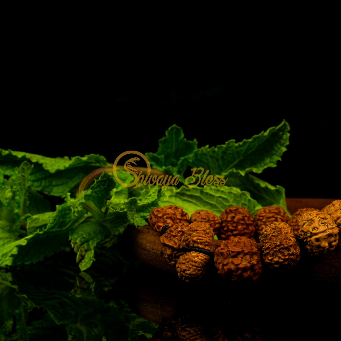 Close-up view of a regular ASEAN Siddha Rudraksha combination bracelet on a wooden plate, displayed against a black background