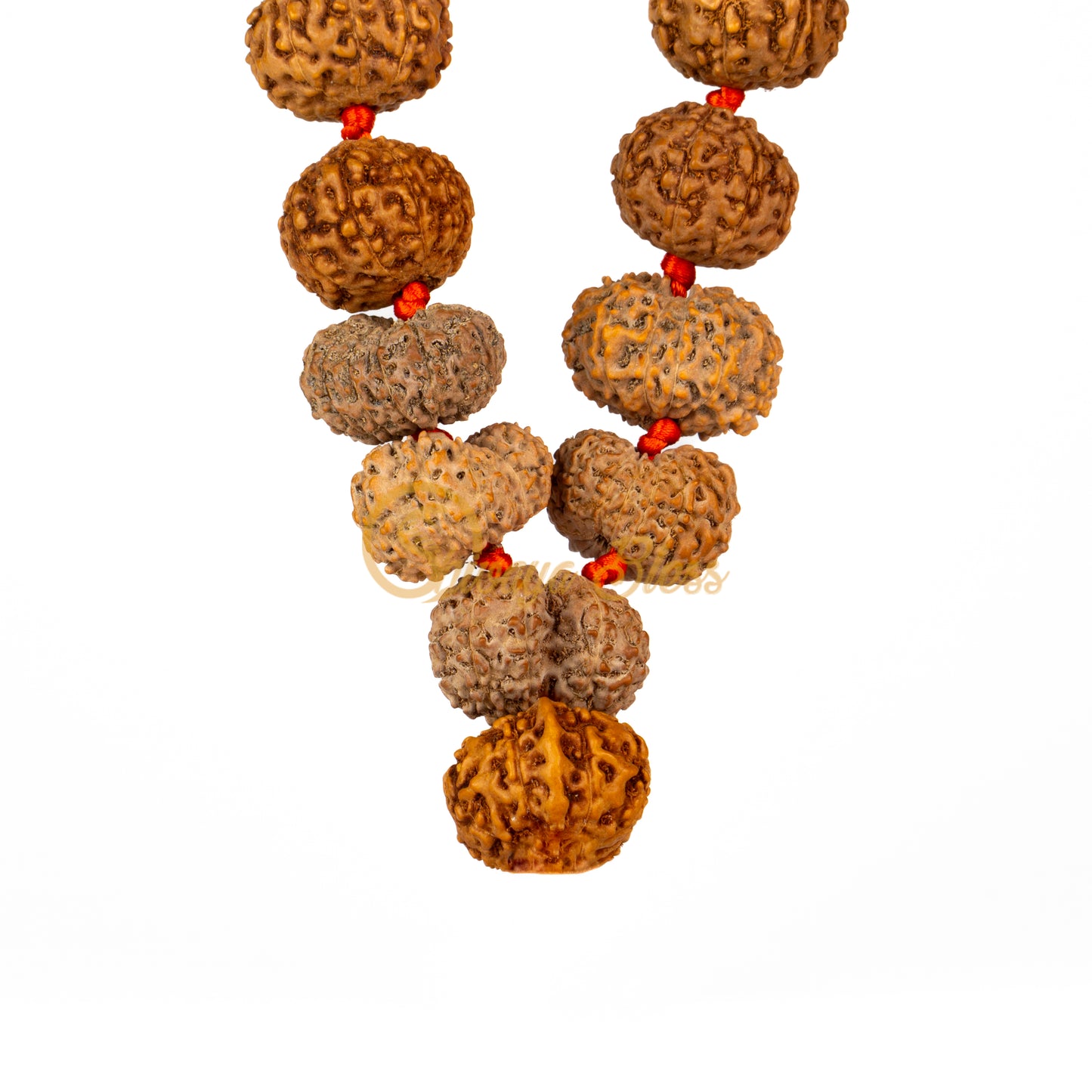 "Siddha Plus" Rudraksha Necklace