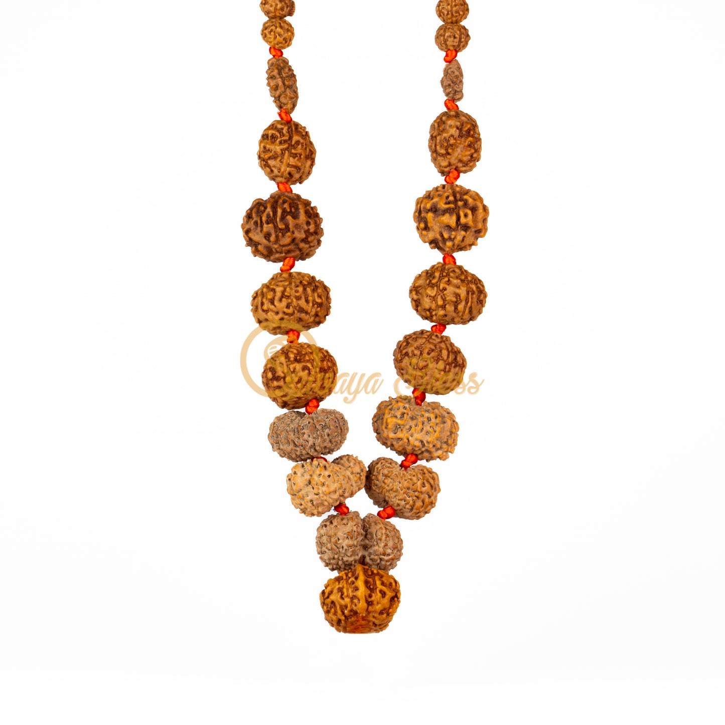 "Siddha Plus" Rudraksha Necklace