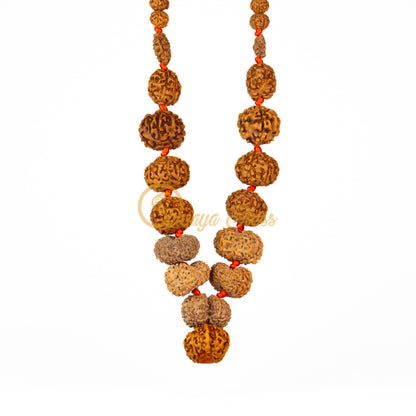 "Siddha Plus" Rudraksha Necklace