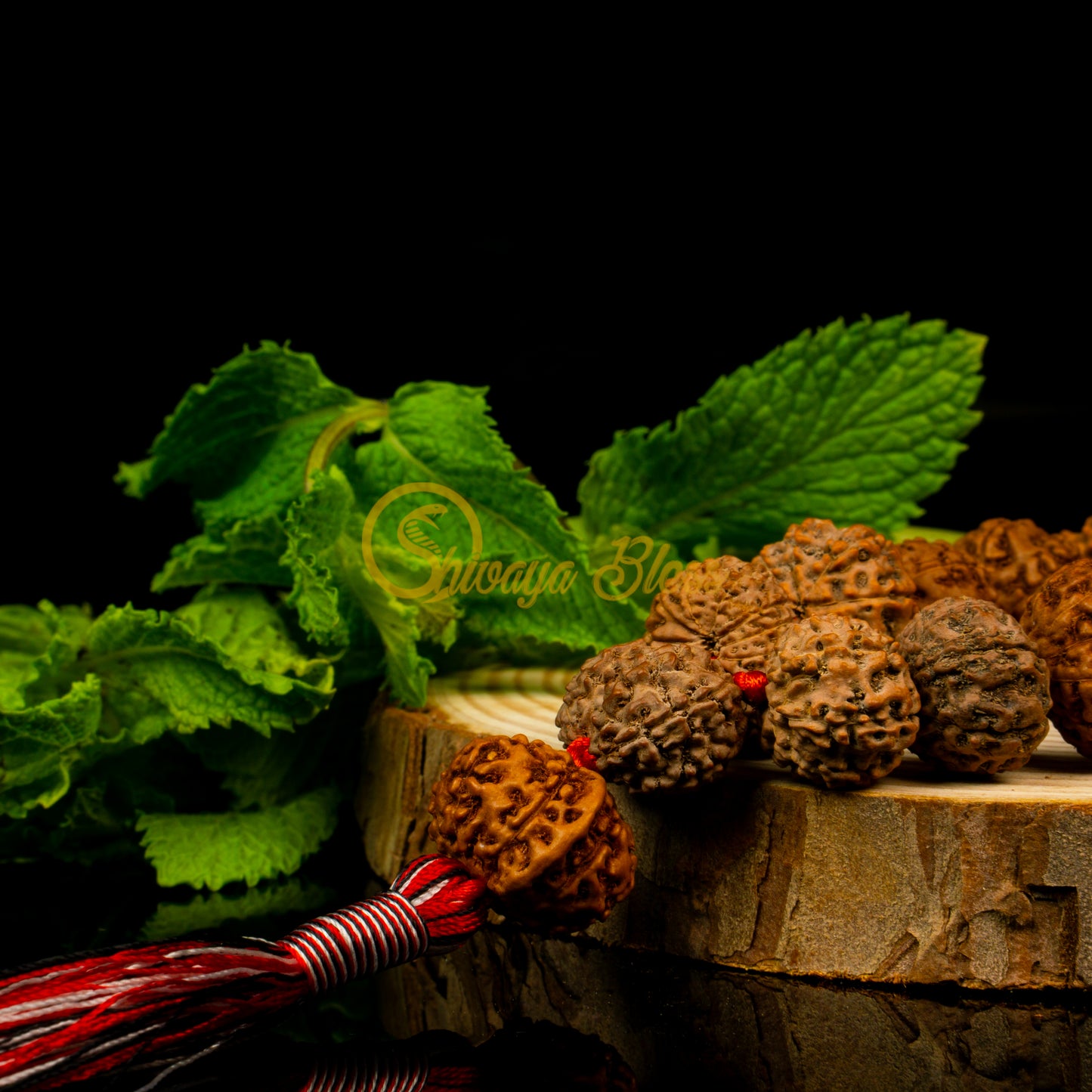 "Siddha Plus" Rudraksha Necklace