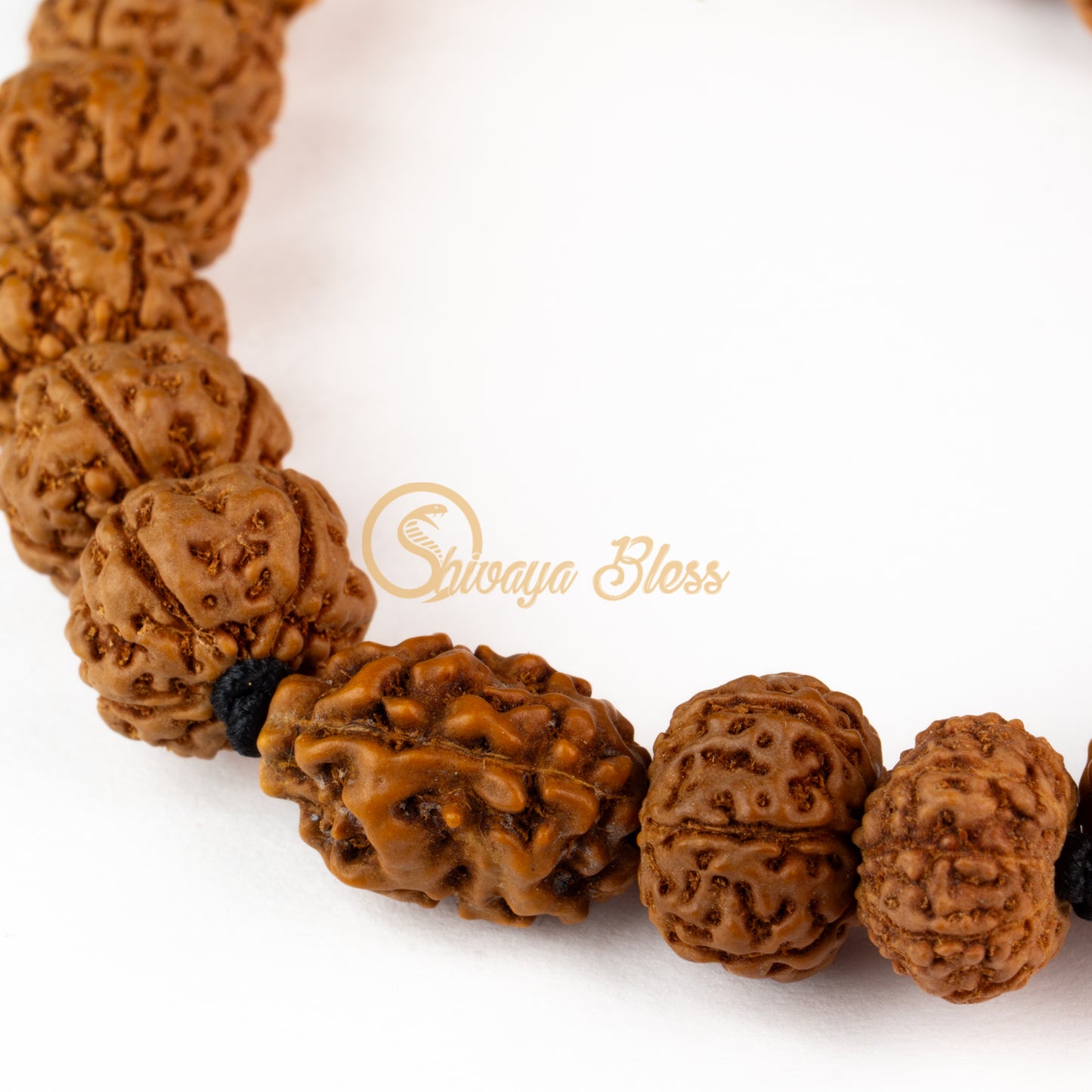 Leo Zodiac Rudraksha Bracelet