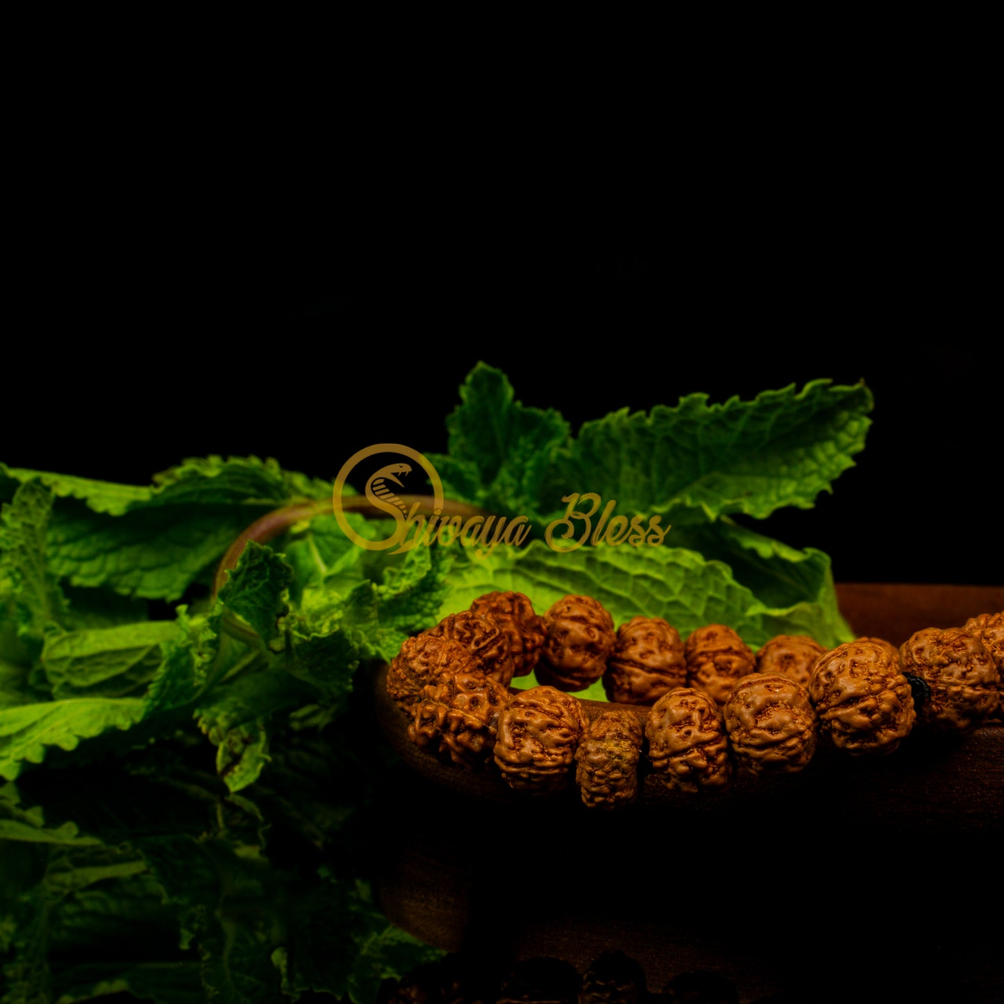 Leo Zodiac Rudraksha Bracelet