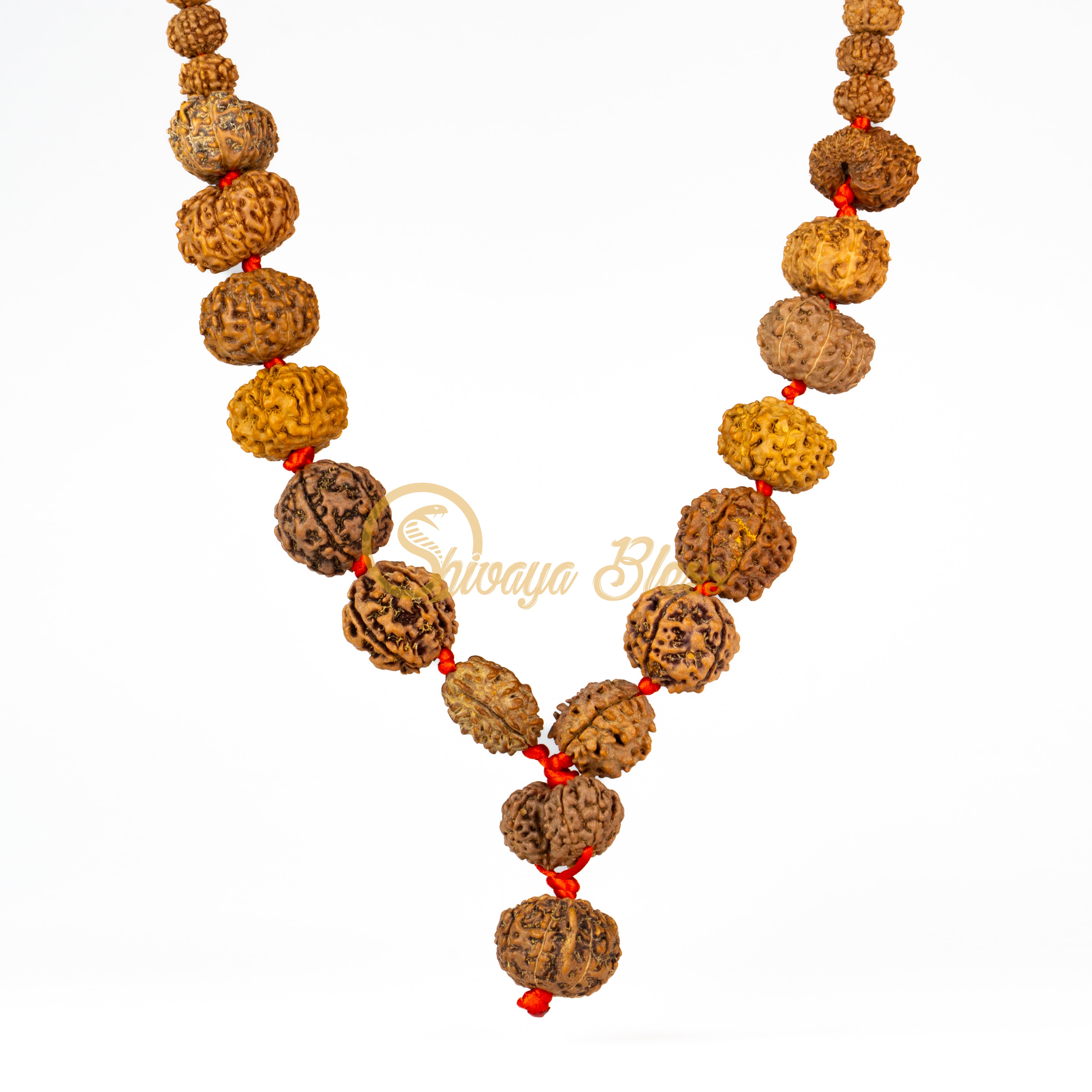 Third Eye Rudraksha Mala Necklace