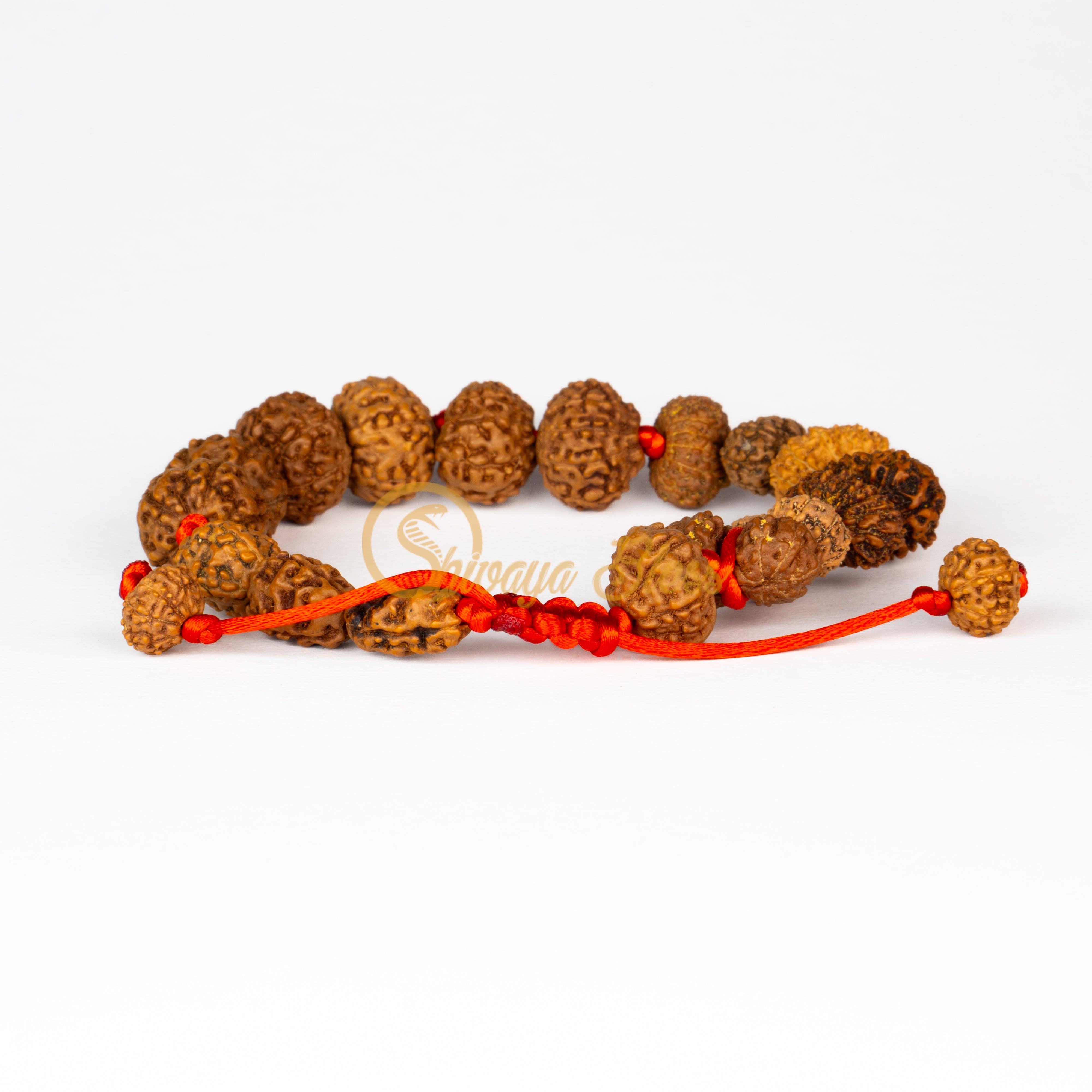 Front view of a regular adjustable ASEAN Victory Rudraksha combination bracelet, displayed against a white background
