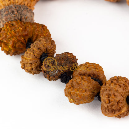 Close-up view of a regular ASEAN Victory Rudraksha combination bracelet, displayed against a white background