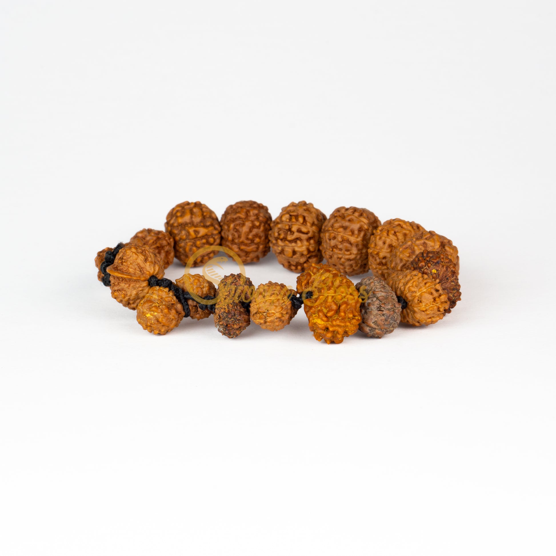 Front view of a regular elastic ASEAN Victory Rudraksha combination bracelet, displayed against a white background