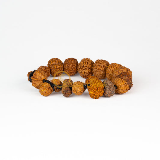 Front view of a regular elastic ASEAN Victory Rudraksha combination bracelet, displayed against a white background