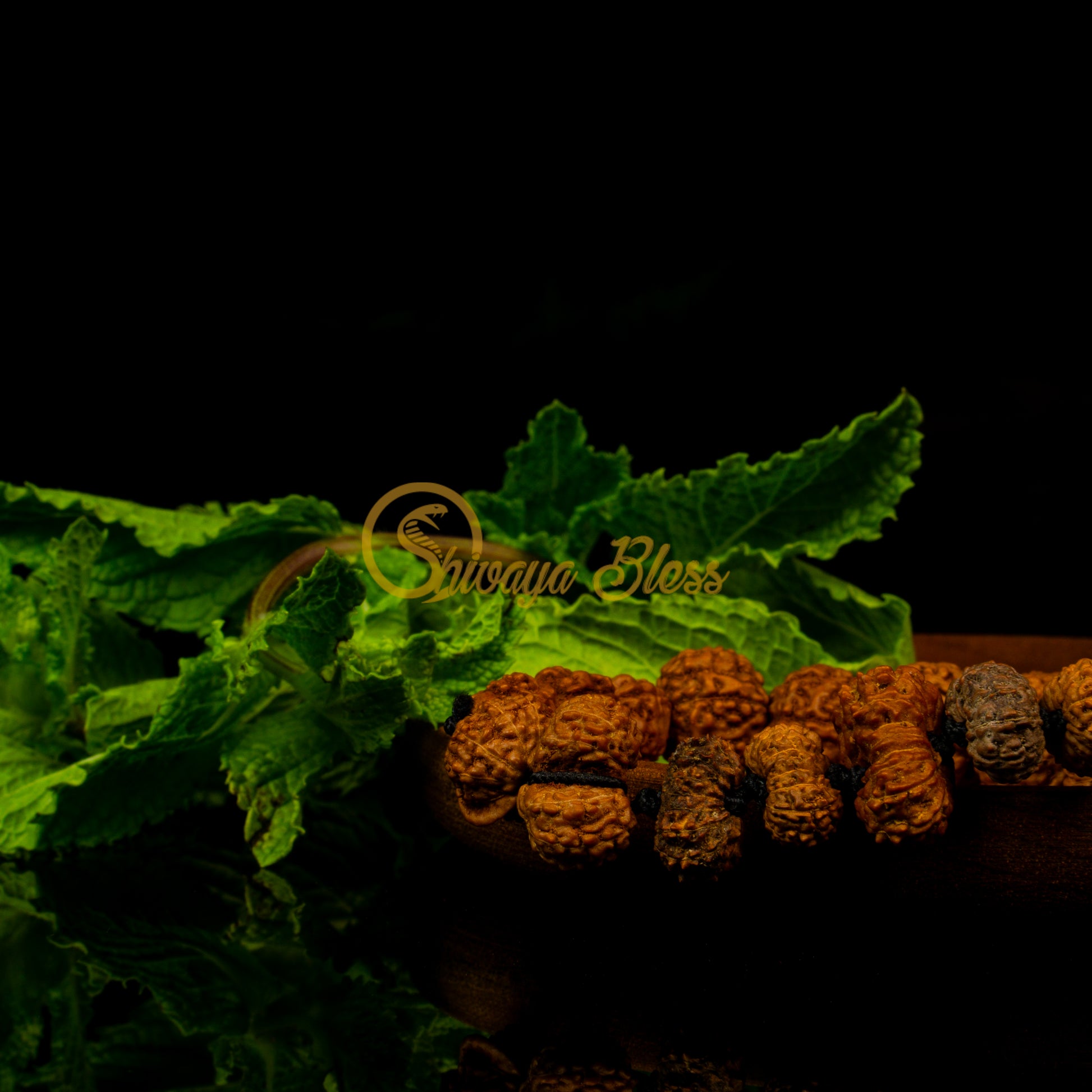 Close-up view of a regular ASEAN Victory Rudraksha combination bracelet on a wooden plate, displayed against a black background