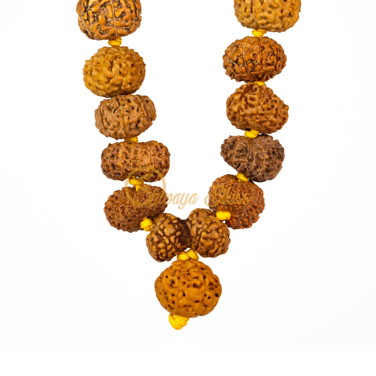 "Victory Plus" Rudraksha Necklace