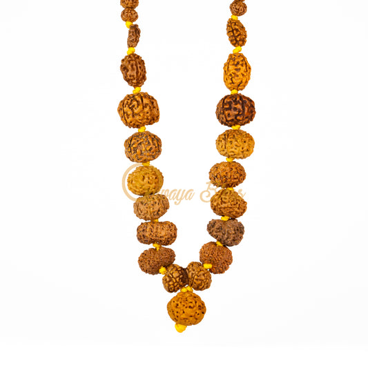 "Victory Plus" Rudraksha Necklace