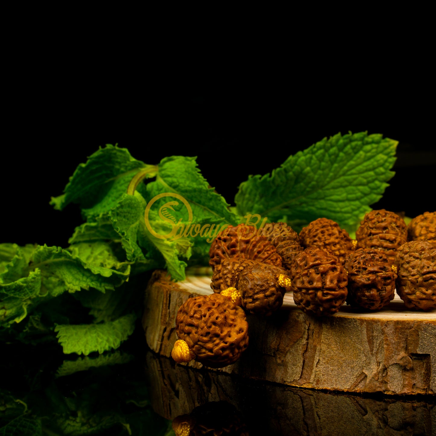 "Victory Plus" Rudraksha Necklace