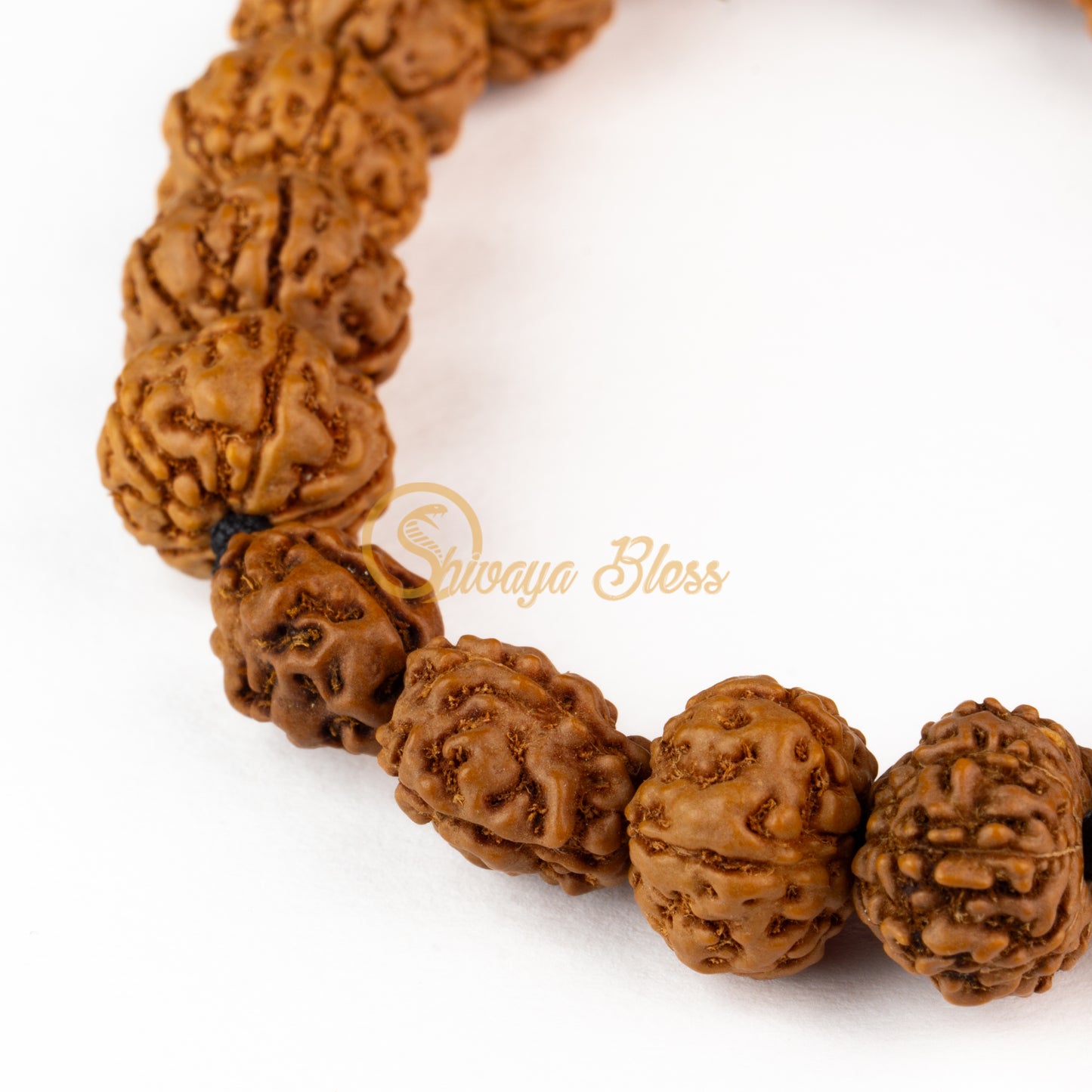 Vrishchikam Rasi Rudraksha Bracelet