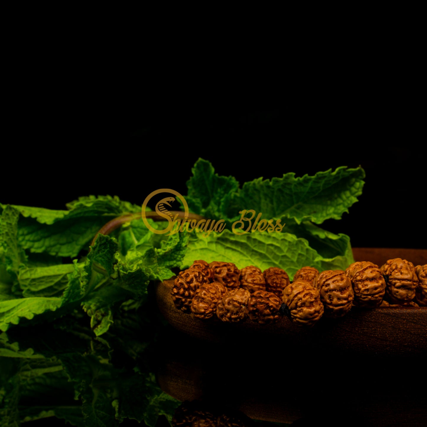 Vrishchikam Rasi Rudraksha Bracelet